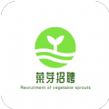 告别《博德之门》！拉瑞安确认不再参与 仅专注于《神界》 